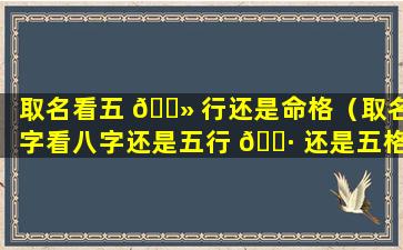 取名看五 🌻 行还是命格（取名字看八字还是五行 🌷 还是五格）